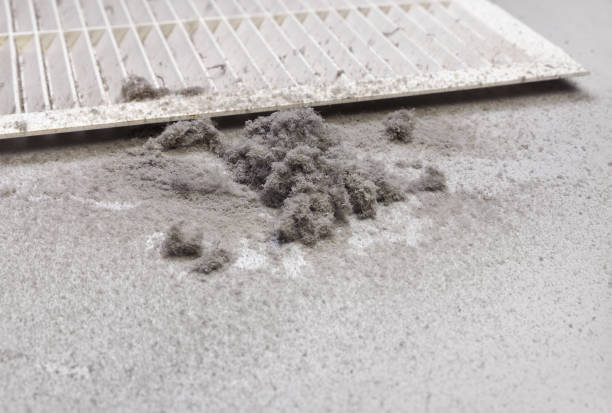 Best Emergency Air Duct Cleaning  in Lexington, KY